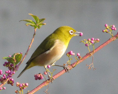 ����T�C�Y