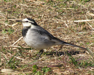 �܁A�������E�E�E