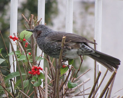 �����������Ȃ��Ă��A����͌N�̎�蕪