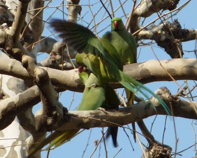 ���X���������荇��