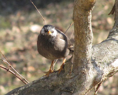 ���������H