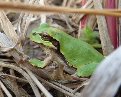 �l����������