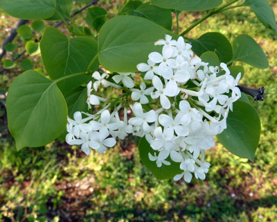 �����ɂ�����������