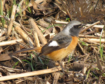 �����܂ŏo�Ă��Ă��߂�Ȃ���