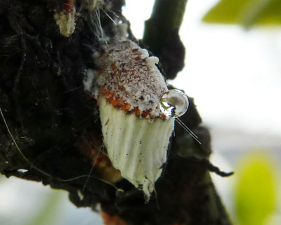 ���H���Ǝv���ĐG������A����������