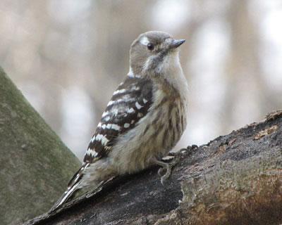 �@��I���