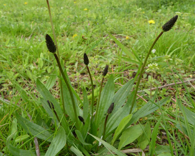 �����ς������Ă���