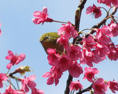 �Ђ�����胁�W��