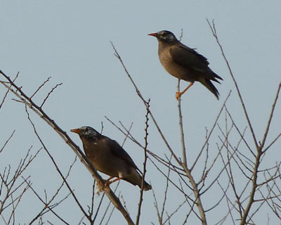 �n�����N�h��