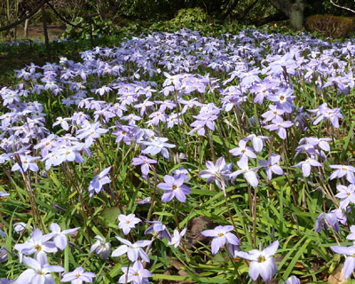 �q�g�f�Q��