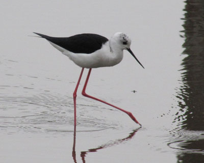 �S���Ȃ̂Ɋ���