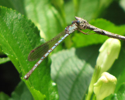 �z�\�~�I�c�l���g���{����