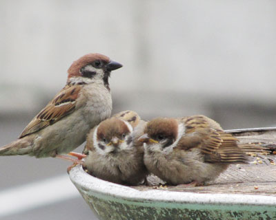 �b������