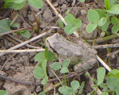 �t�͂���Ȃɂ����ς������̂�