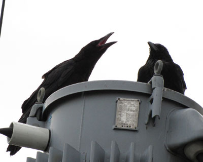 �₦�ԂȂ���