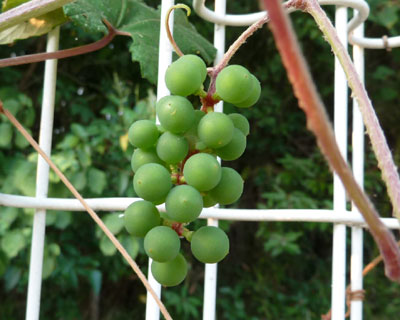 ���΂������Ǎ앨�H