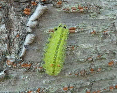 ��������Ă��̂ŉ�����