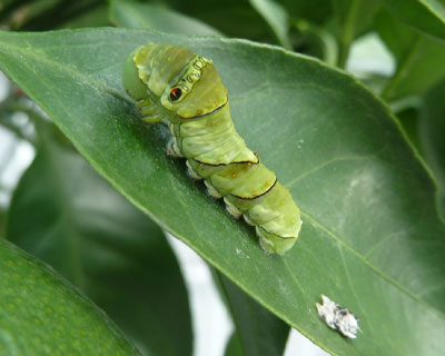 �E������͋x�e��ɐH�ׂ�