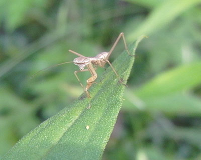 �������J�}�L��