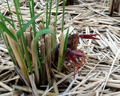 ���Ƀt�@�C�e�B���O�|�[�Y