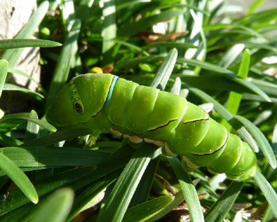 ���̓r���ŋx�ރC�������