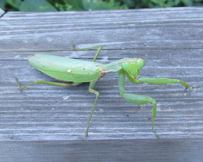 �������J�}�L��