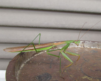 �����z���𗊂񂾂�s������