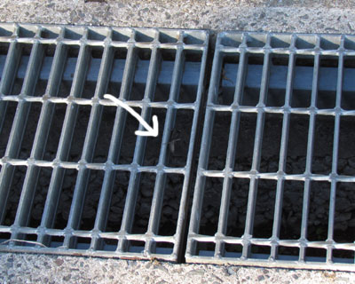 �͂��܂��Ă����̂�