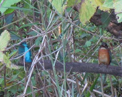 �ǂ������֌W�H