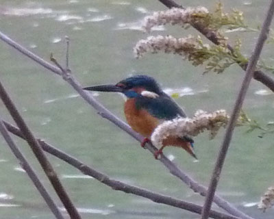 �������������ċߊ��Ȃ�