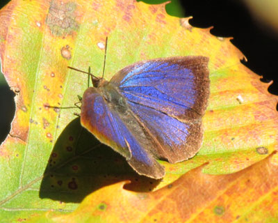 �~�������J�������T�L�V�W�~