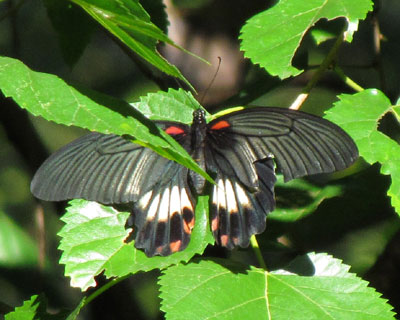 �P�P������ԍ����i�K�T�L�A�Q�n