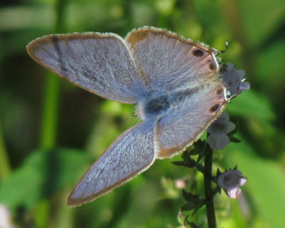 �ςȊp�x���D��