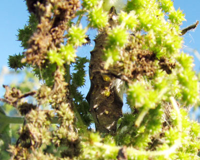 �A�J�^�e�n���