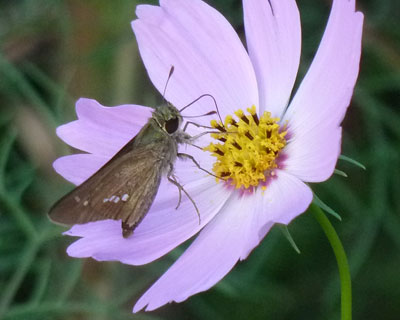 �Z�Z�������