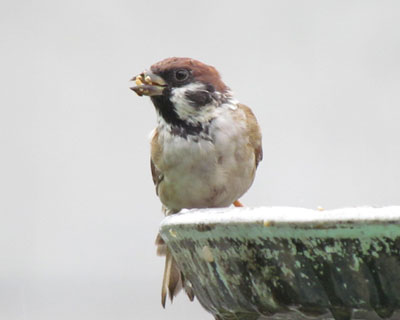 ������������