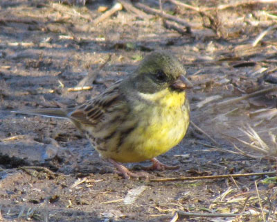 �ۂ������A�I�W