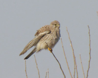 �������ۂ����Ă݂�