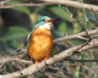 �������킢��