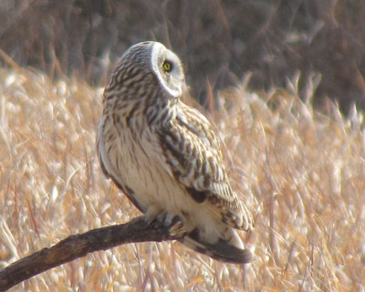 ��̐^�񒆂��ӂ�ӂ�