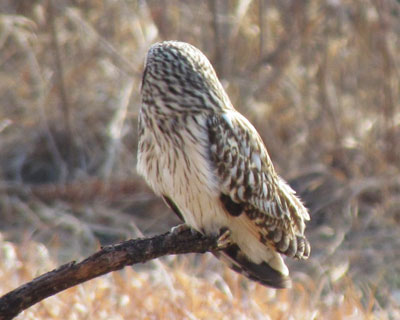 �����Ɖ��������Ɛ^������