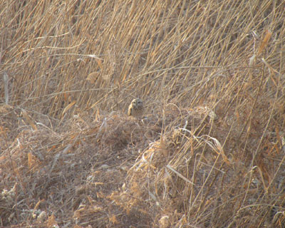 �R�~�~�Y�N��T���I