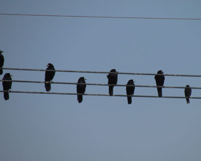 �~���}����