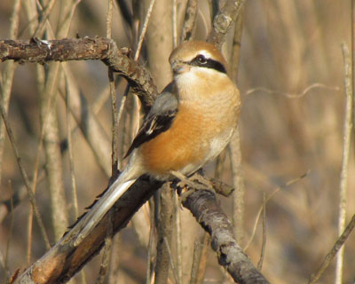 �F�����ꂢ�Ŋ�����킢��