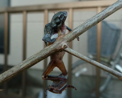 ���N���U�N���Ƀn���j�G