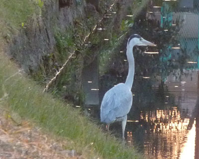 �o�����X�̈����̌^