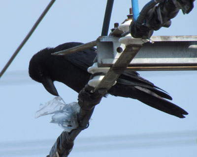 �ނ����āE�E�E