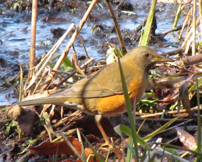 �A�J�n���͂悭�����