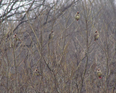 �������������ς�����