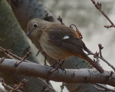 ���������͂Ȃ�����